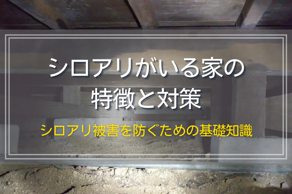 シロアリがいる家の特徴と対策｜シロアリ被害を防ぐための基礎知識